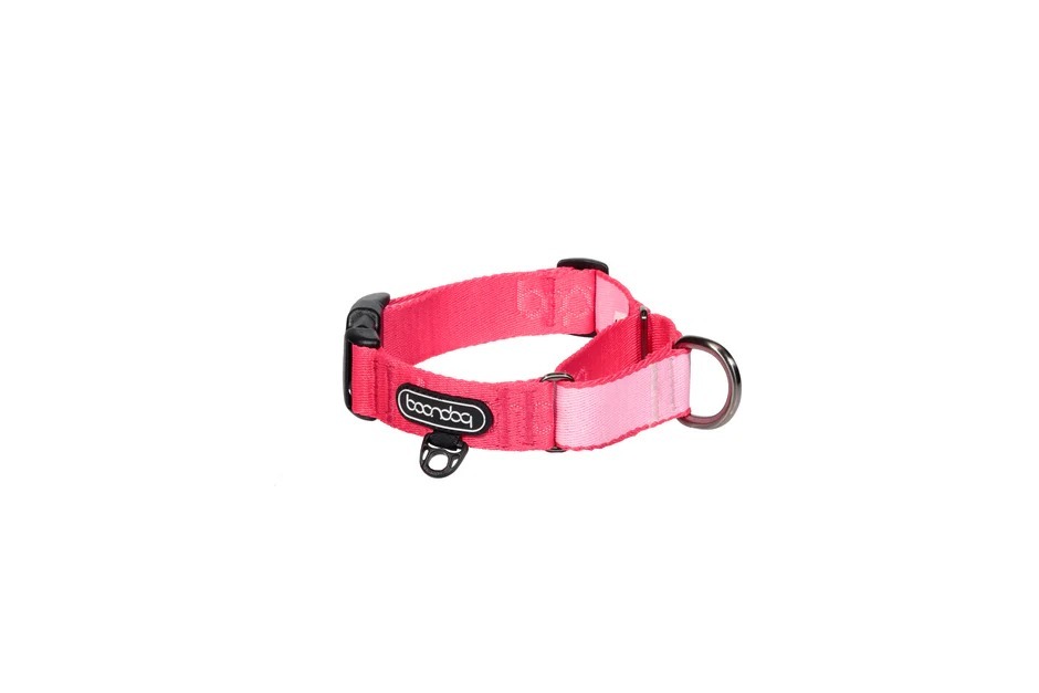 imgi_59_Martingale_Collar_Strawberry