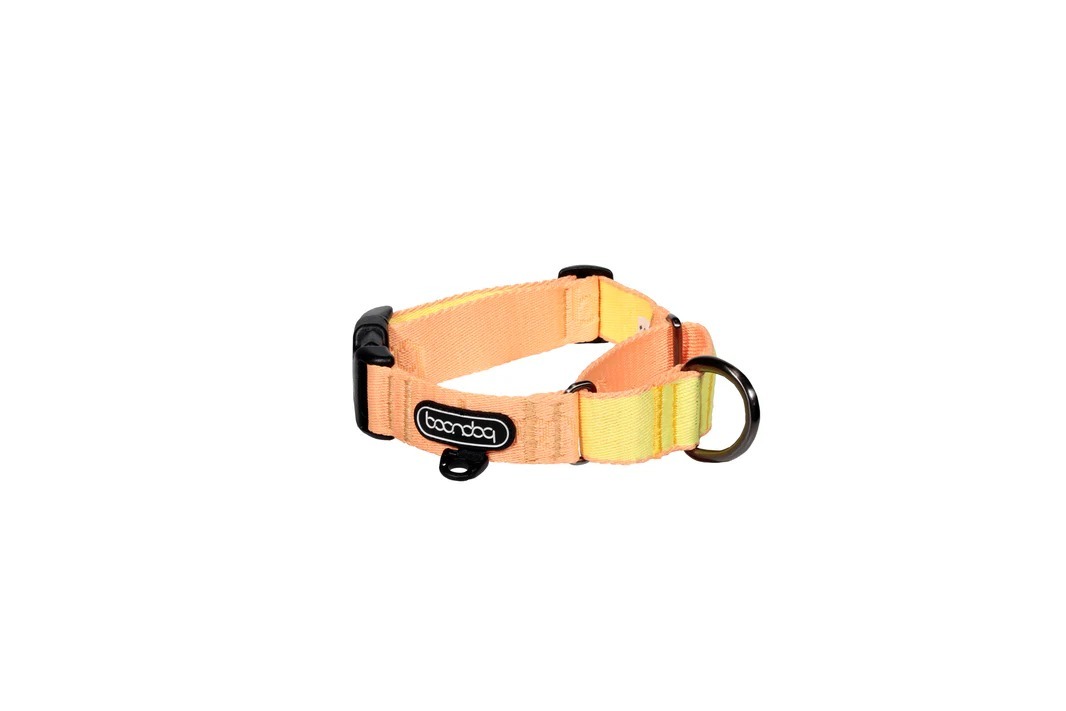 imgi_91_Martingale_Collar_Peach