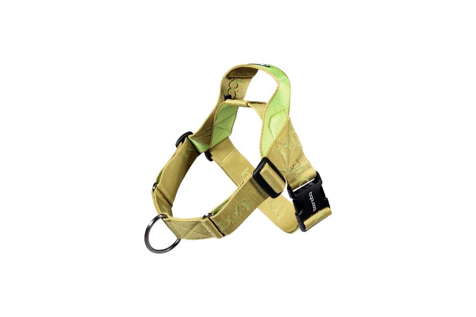 imgi_84_0109_Harness_Kiwi