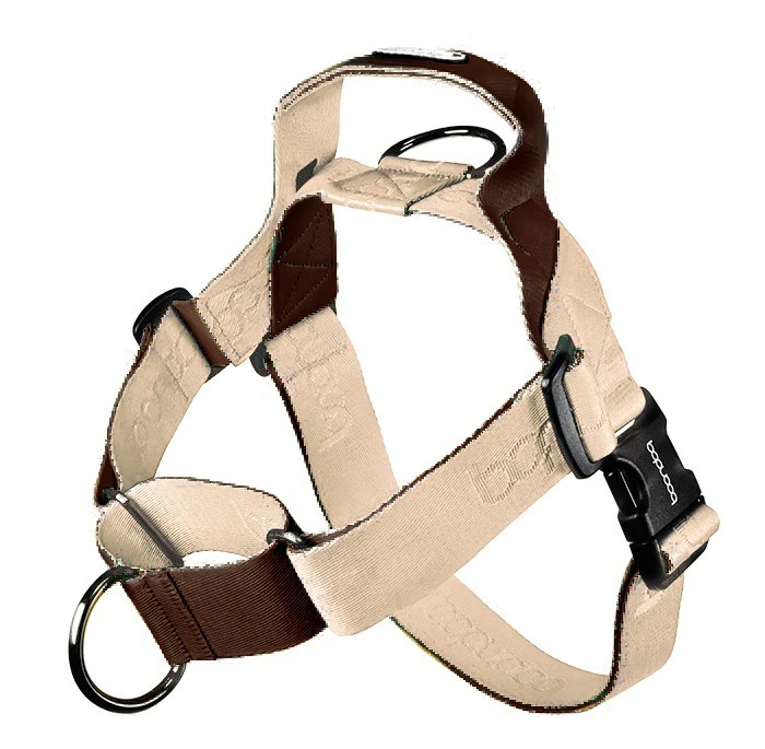 imgi_24_20250717_161942000_iOS_1