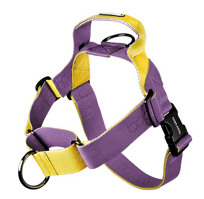 imgi_31_20250717_161942000_iOS