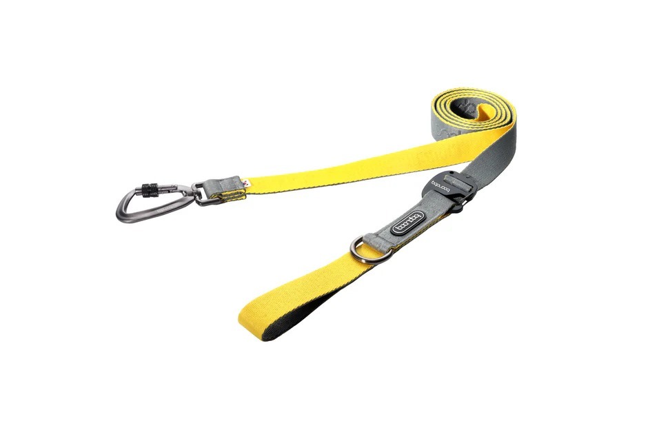 imgi_45_PlayLeash250_320_Gray-Lemon
