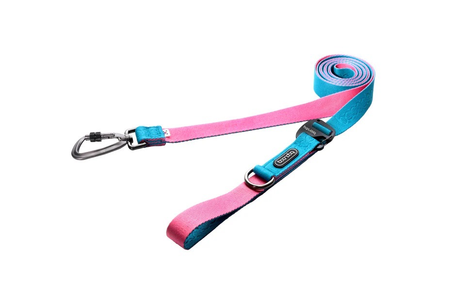 imgi_101_PlayLeash250_320_Aqua-Pink