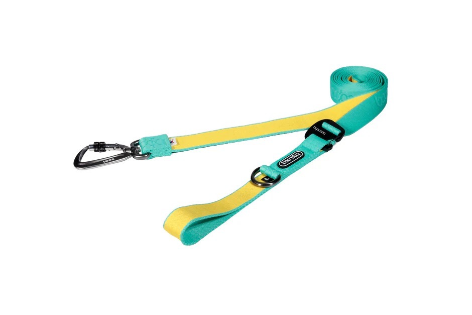 imgi_78_PlayLeash250_320_Mint-lemon