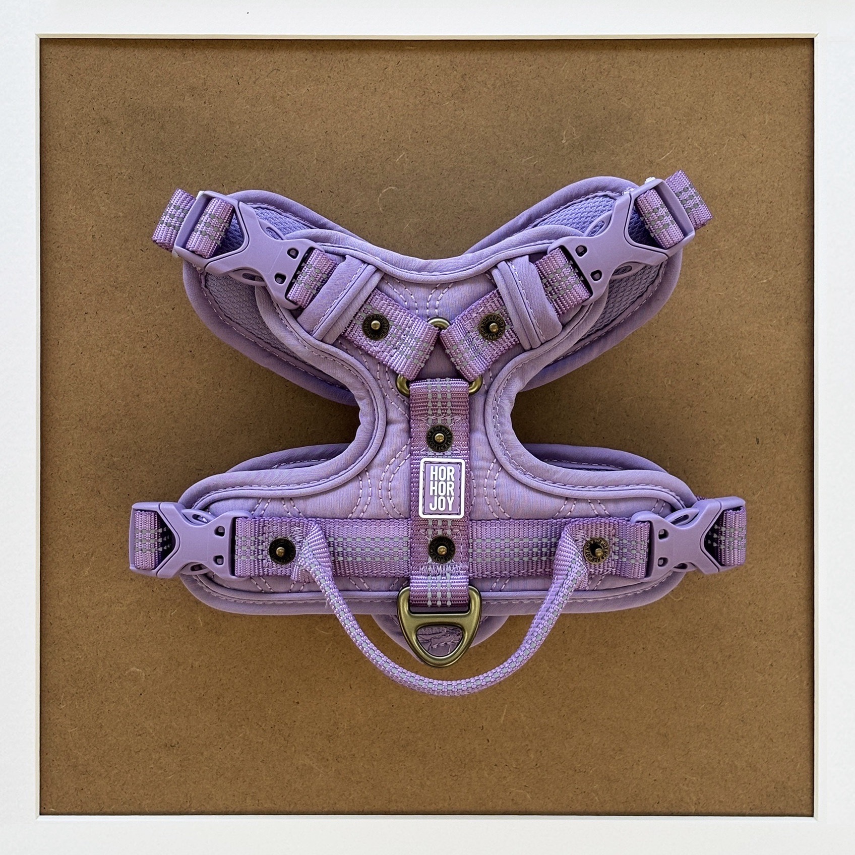 B438C4A5-38AC-4B67-9EB6-4C0F5C7521F7