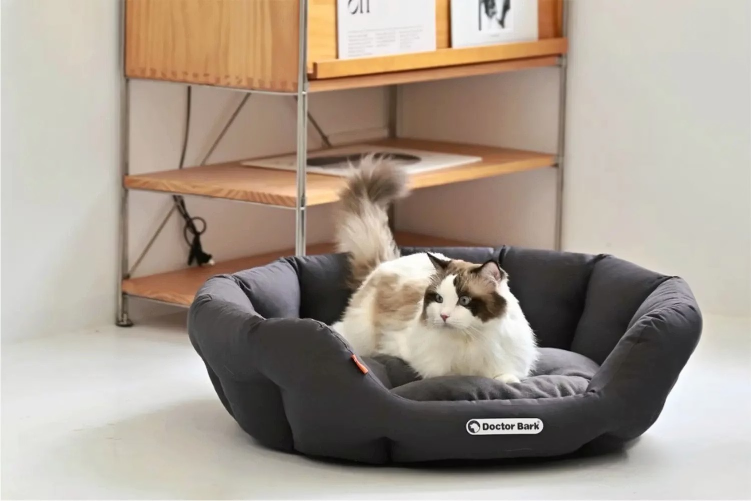 imgi_3_W1siZiIsIjMwMDQyL2F0dGFjaGVkX3Bob3Rvcy8xNzQ3NTQ4NTIyX-WNiuaciDAxLndlYnAud2VicCJdXQ