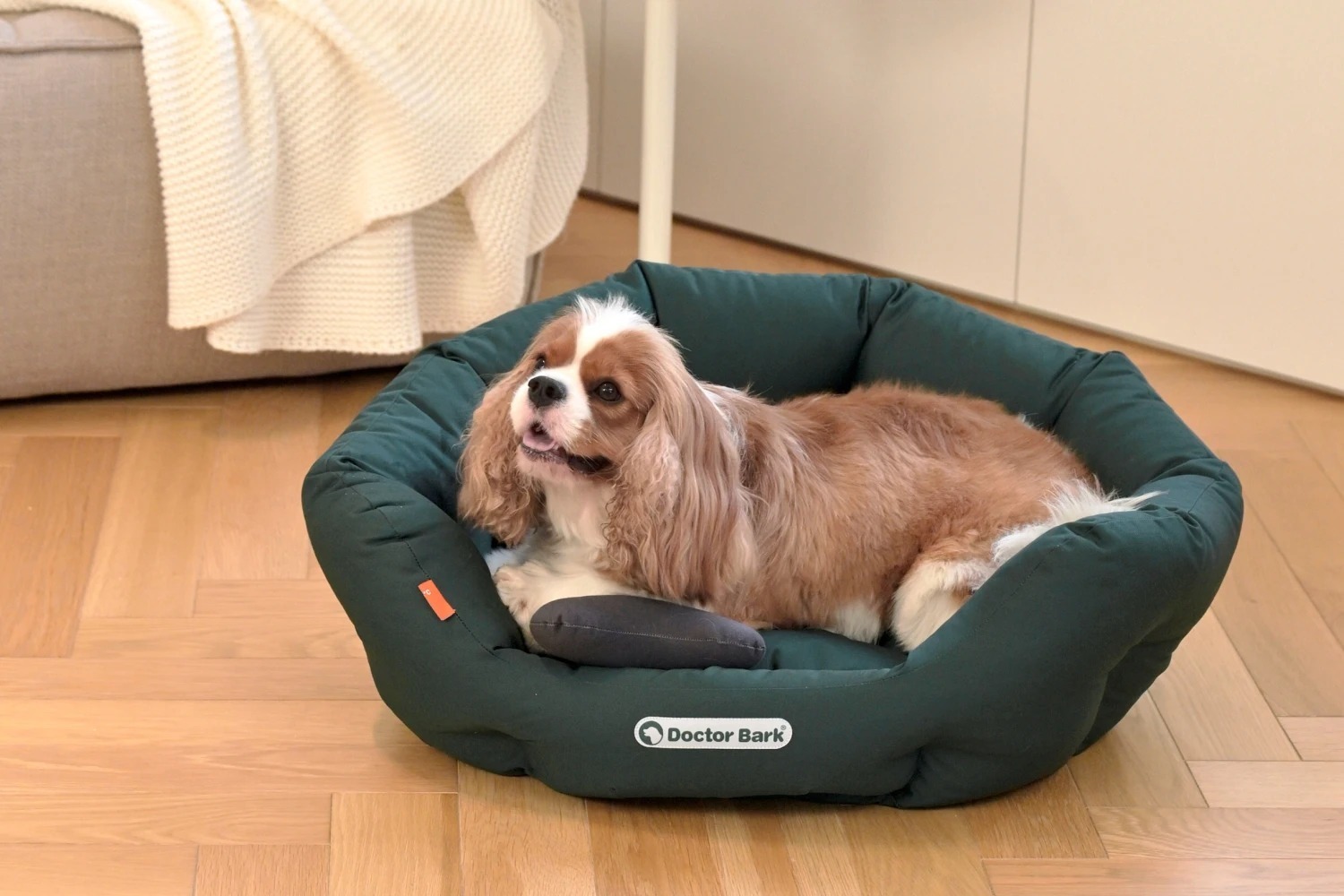 imgi_2_W1siZiIsIjMwMDQyL2F0dGFjaGVkX3Bob3Rvcy8xNzU1NTgyOTY1X-WNiuaciDAxLndlYnAud2VicCJdXQ