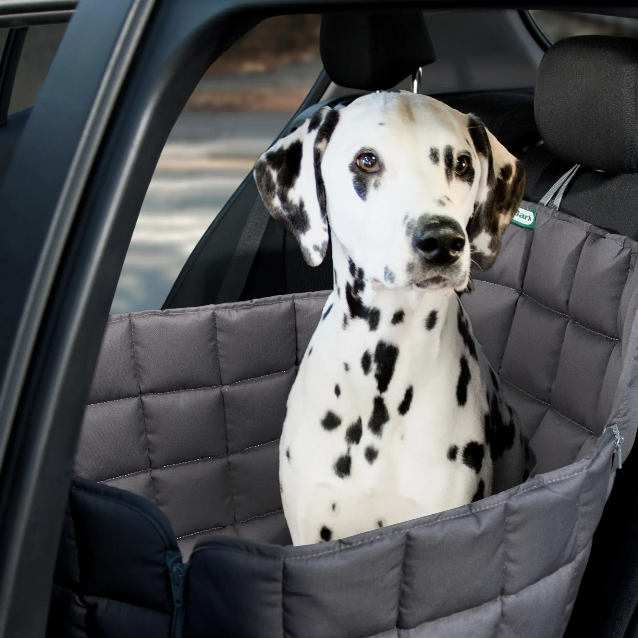 imgi_4_W1siZiIsIjMwMDQyL3Byb2R1Y3RzLzUwODU0MDgyLzE3NTAzODE0NTJfZmFkYzMyOTFkMmVmNjU3NGEwZmEud2VicCJdLFsicCIsInRodW1iIiwiMjA0OHgyMDQ4Il1d