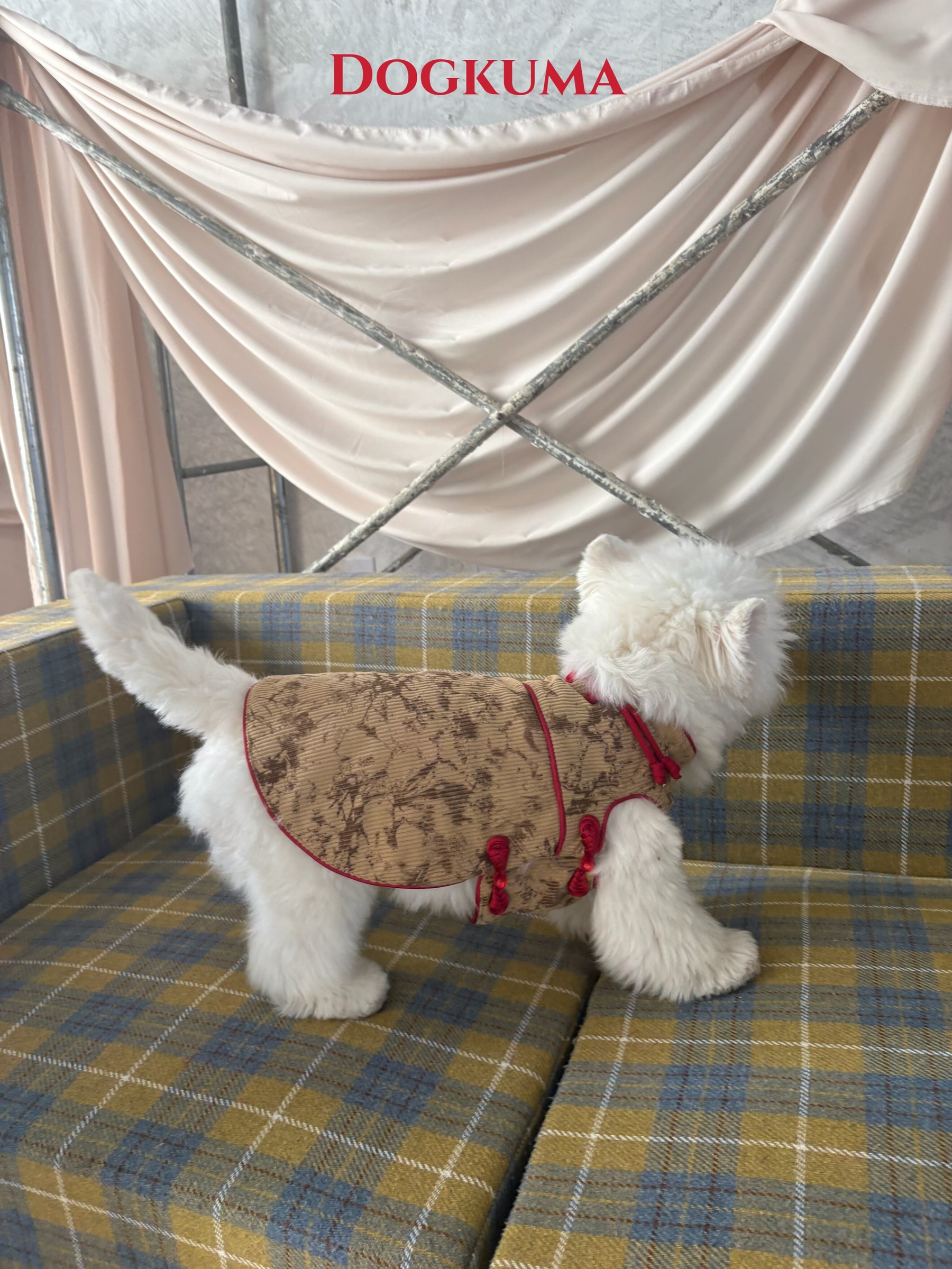 imgi_17_O1CN019ezFGF1y0NsbQRQeU_!!1585086516