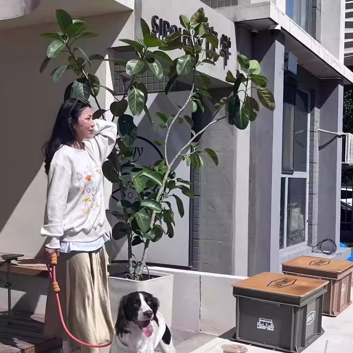 imgi_6_O1CN01xM5Pg01y0NkmNBUxB_!!1585086516.jpg_q50.jpg_