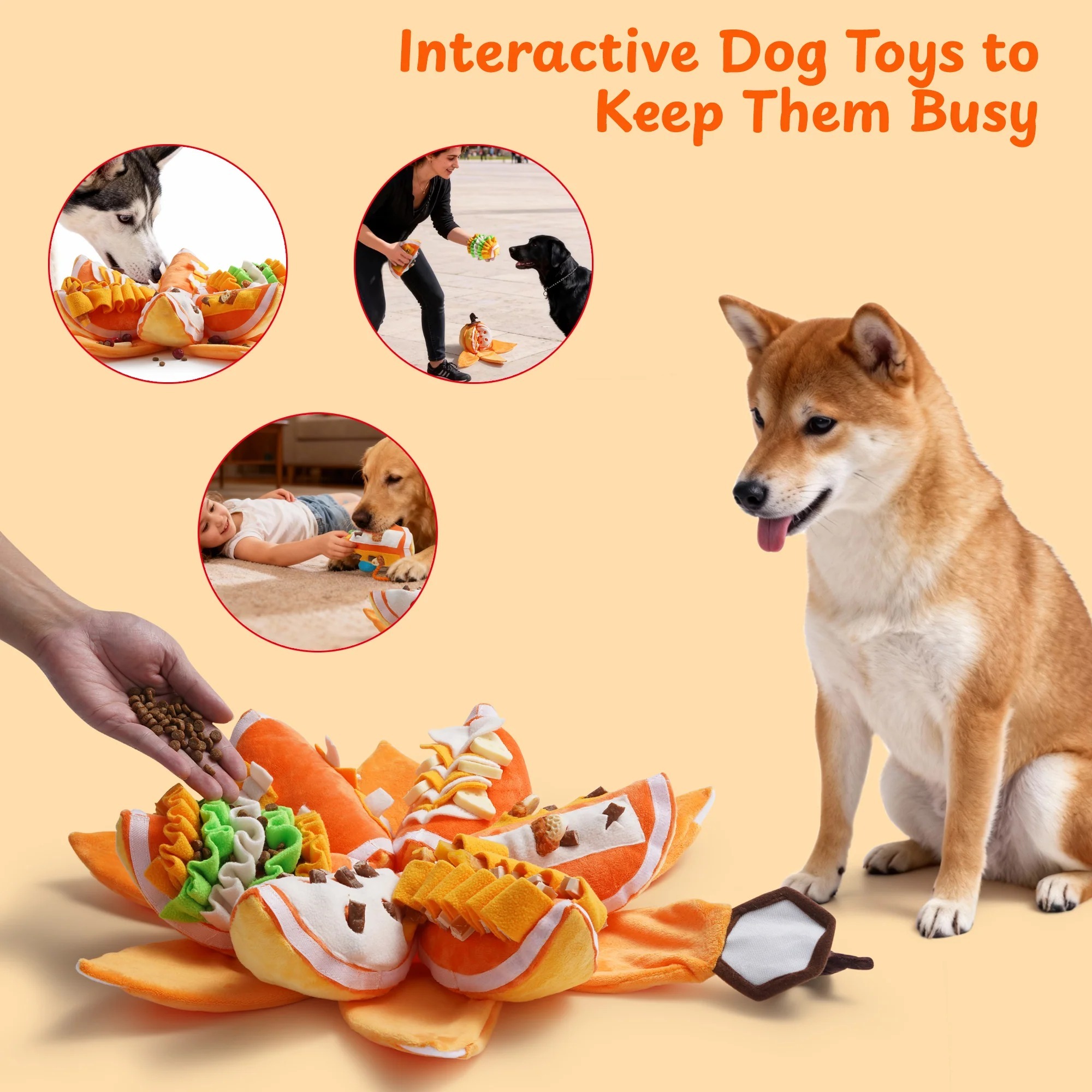 imgi_5_6_9c7d6834-fb35-439d-8c5c-afda4d270f63