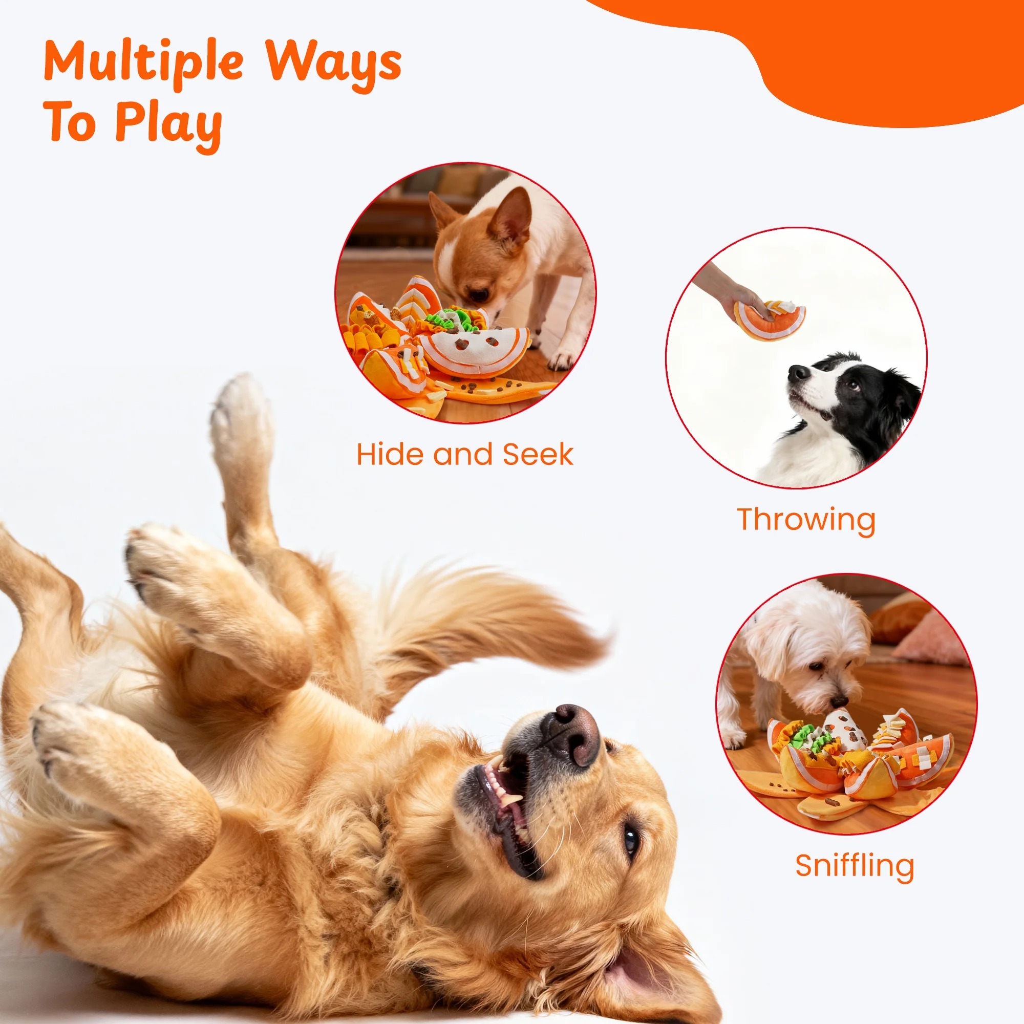 imgi_9_4_ddf7bce0-09f0-40a4-8907-1f2c81377510