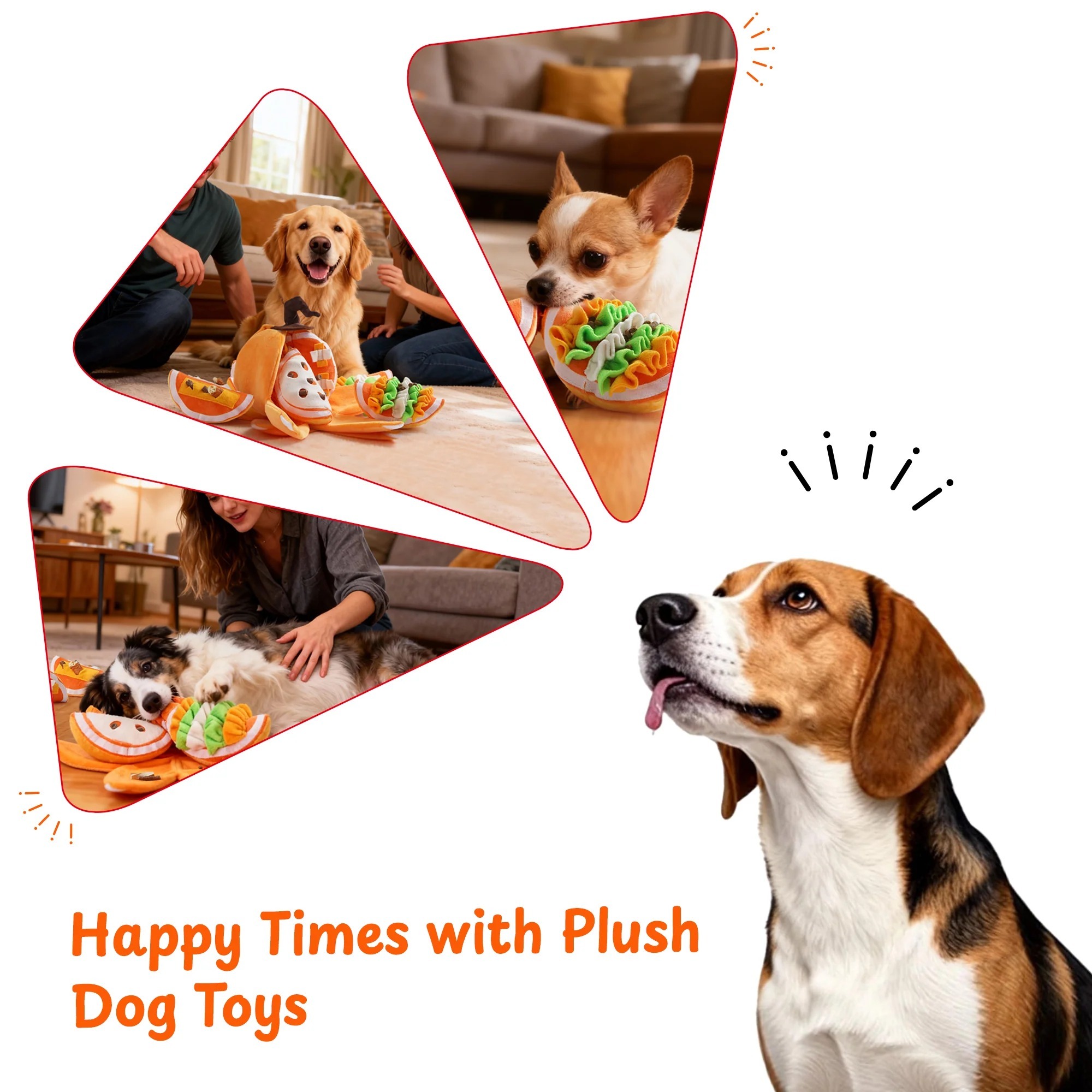 imgi_6_7_b9b7b788-b73c-4827-8be7-ecd39fddc60a