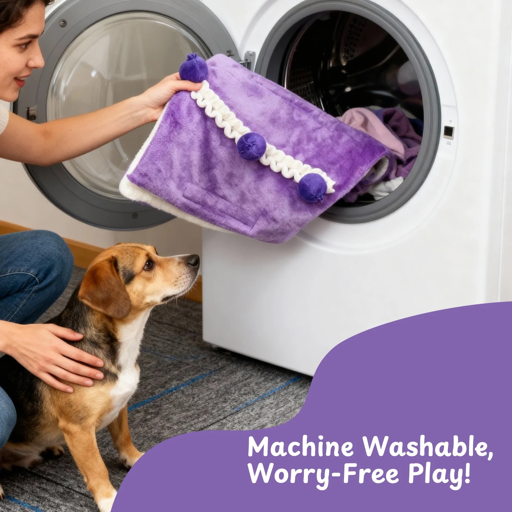 imgi_8_6_b5a808db-54dd-4522-b996-2ed989d249c9