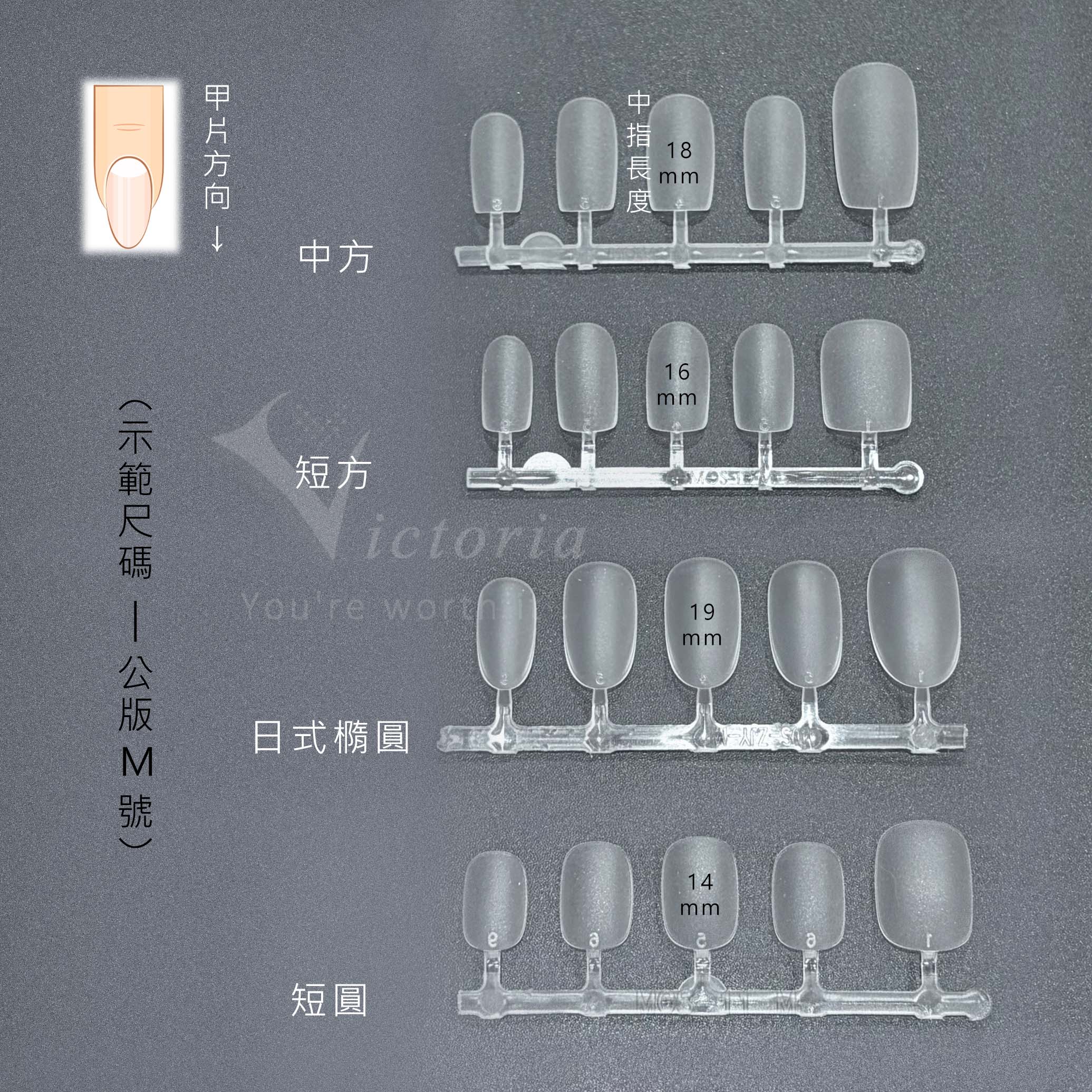 穿戴甲型說明-P2