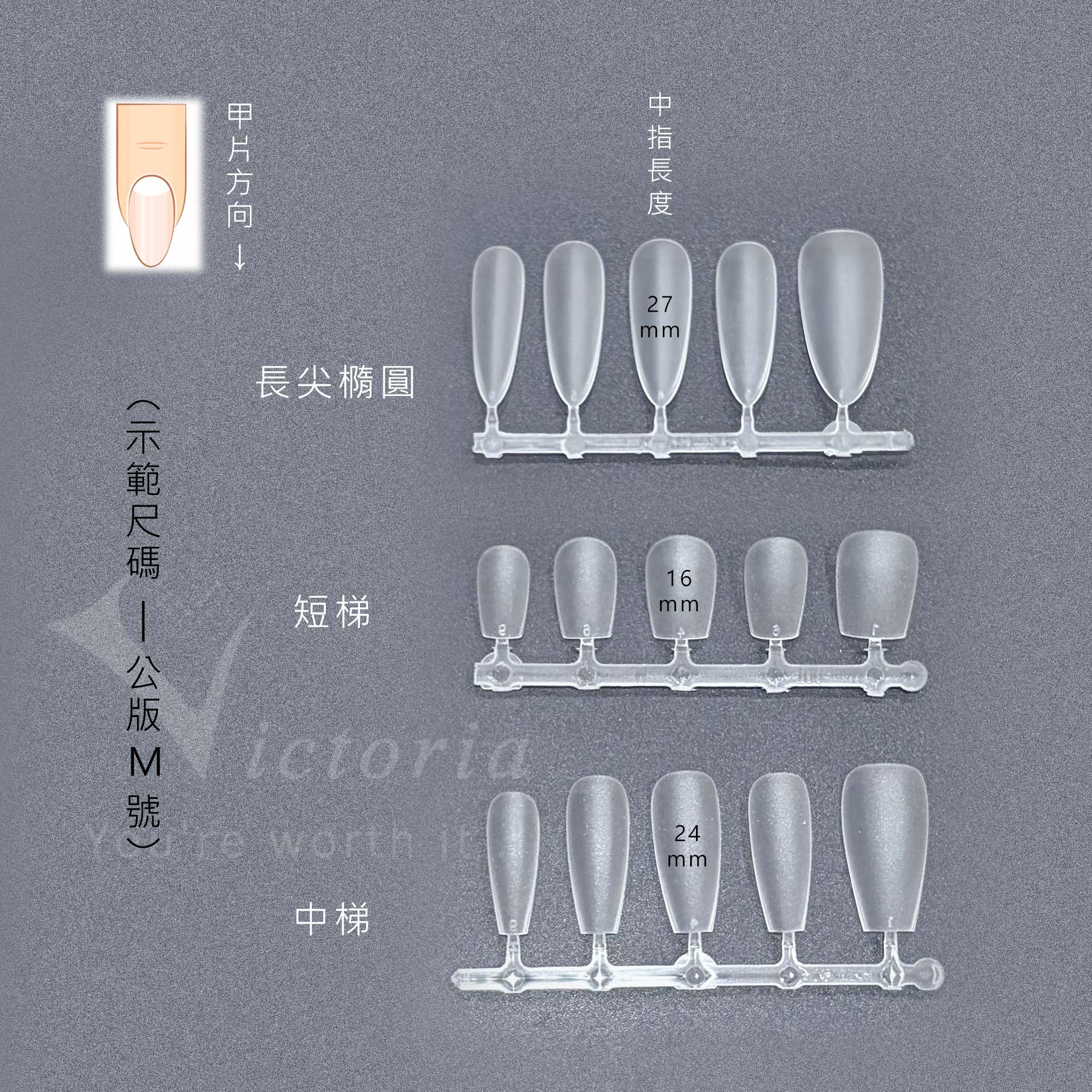 穿戴甲型說明-P1