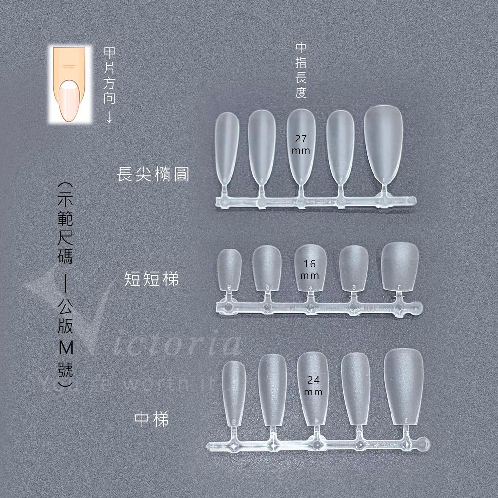 穿戴甲型說明-P1