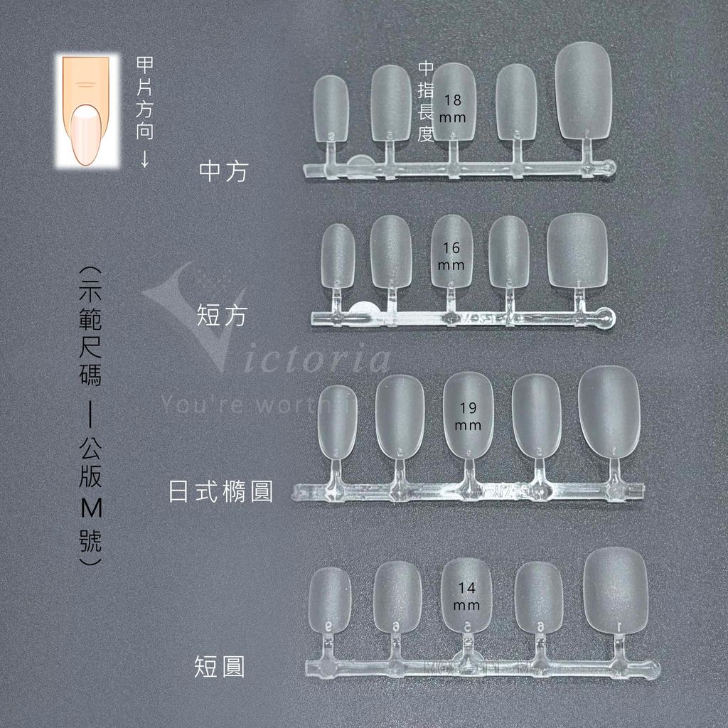 穿戴甲型說明-P2