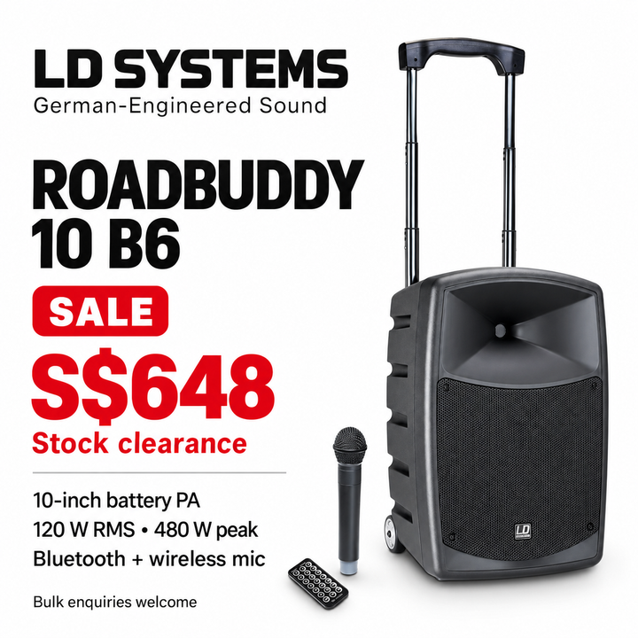 LD Systems Roadbuddy 10 B6 sale