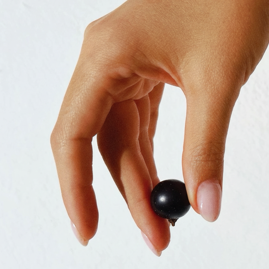 黑加侖精萃乾 | 悅鑫 每日堅果 隨時補充營養活力