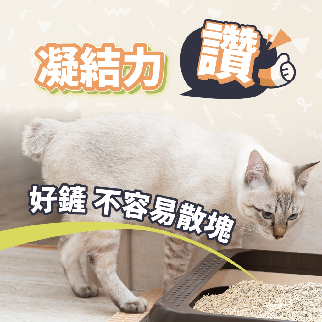 貓砂BANNER_5-1024x1024