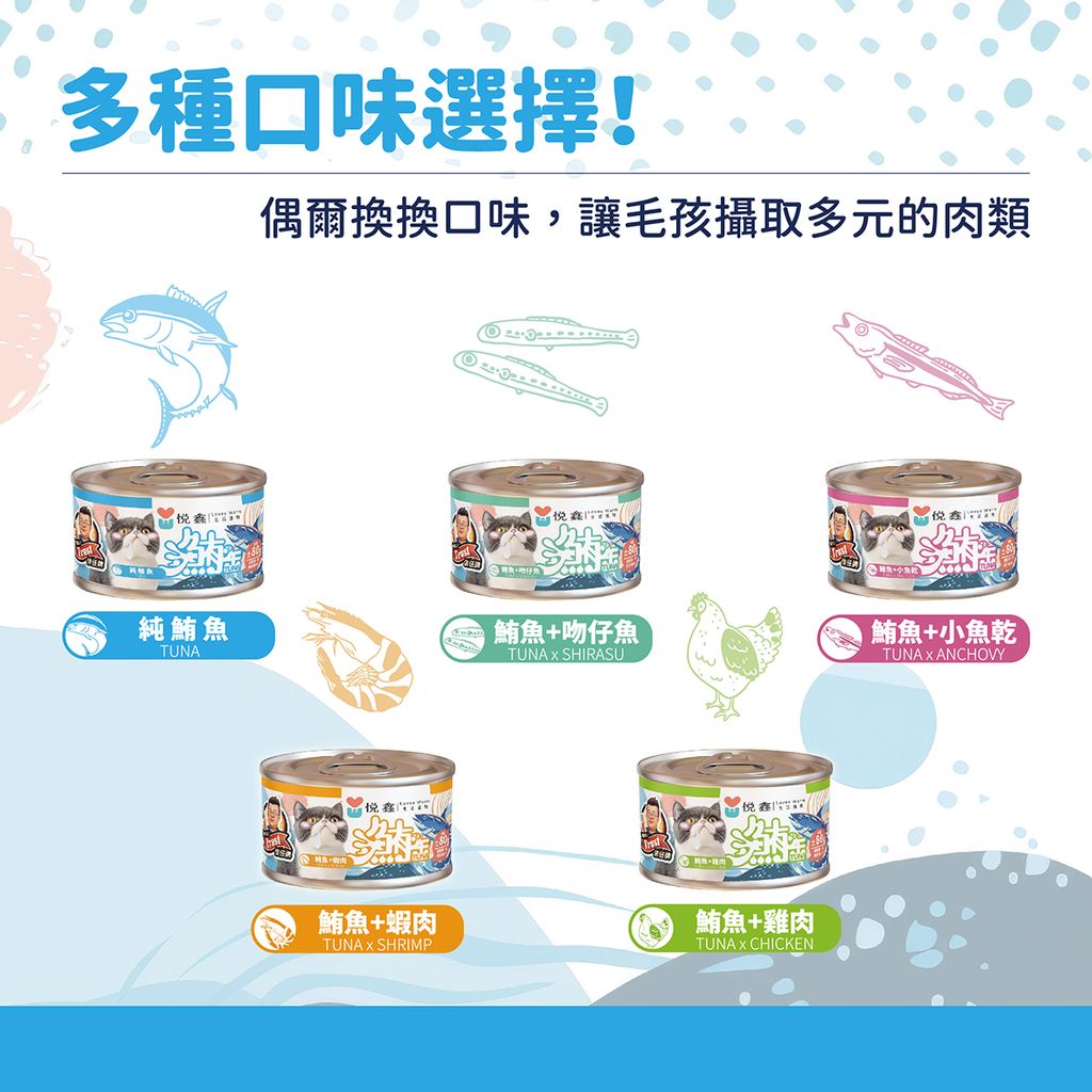 悅鑫迷你貓罐頭EDM-06