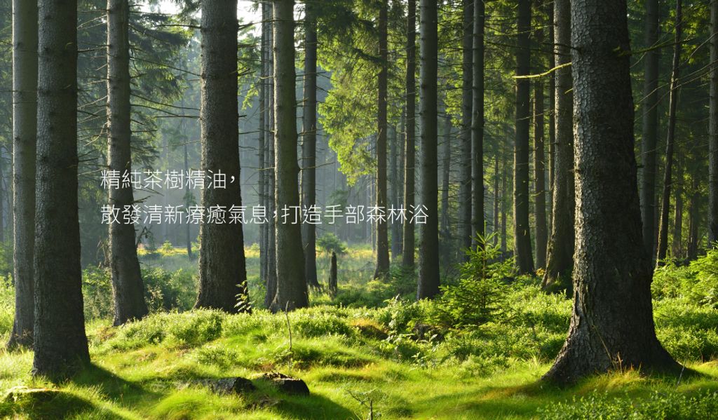 products_green-66-views-202210270953199786
