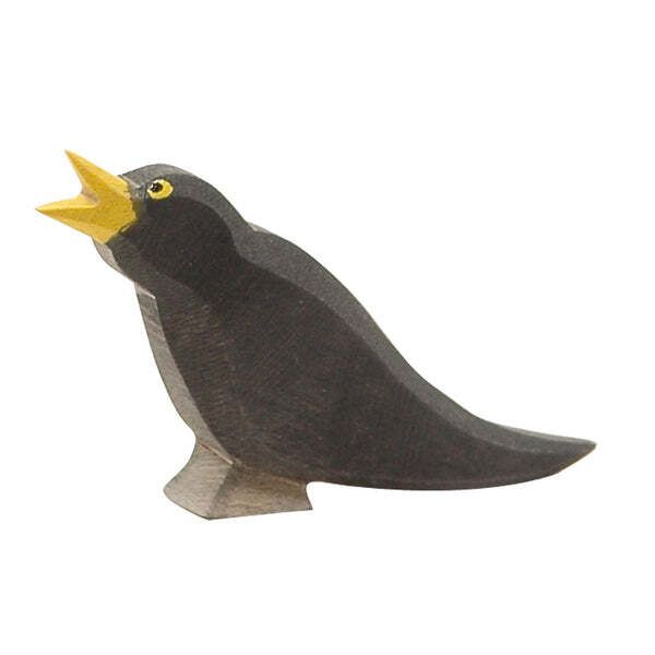 16801-amsel_grande