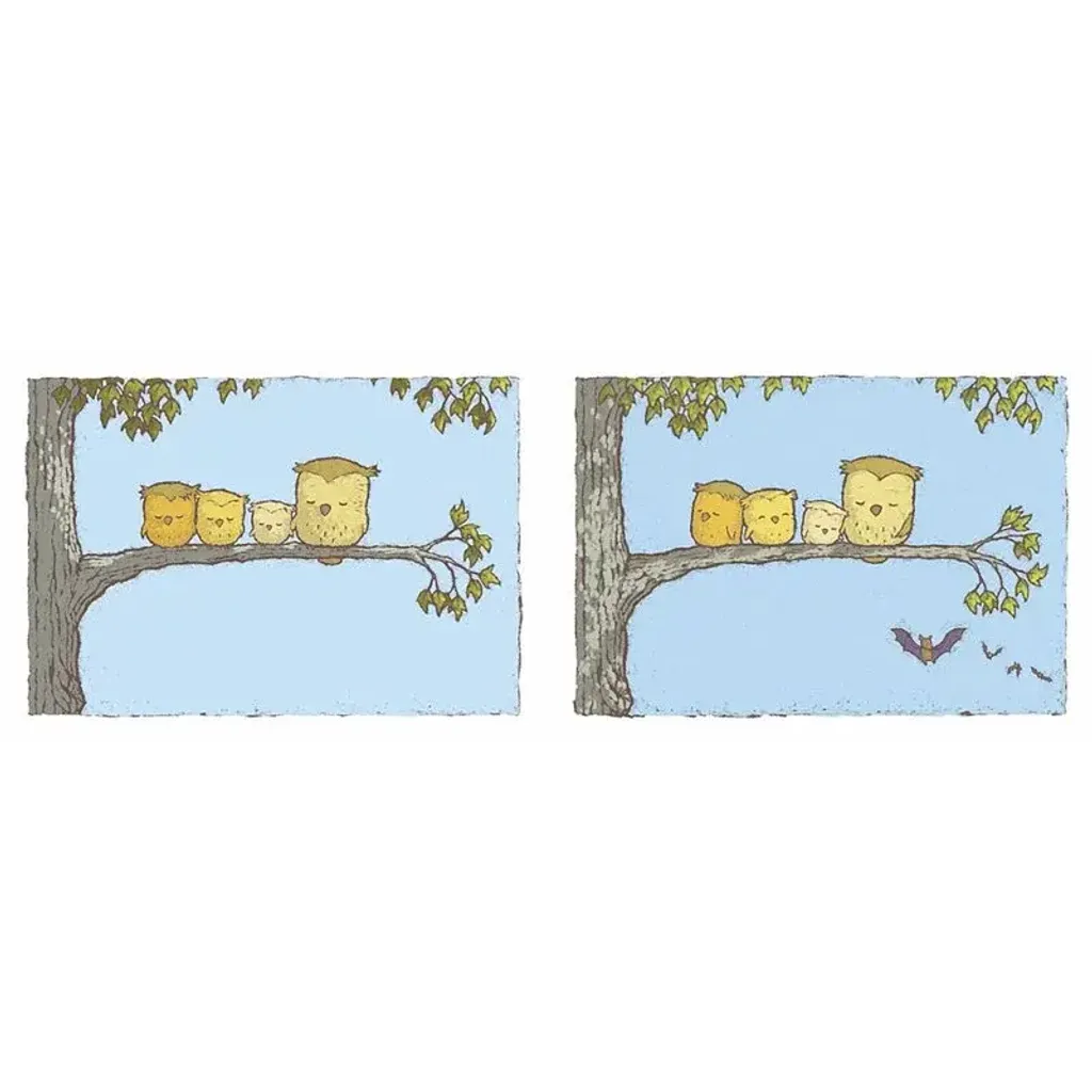 800x