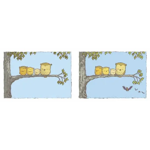 800x
