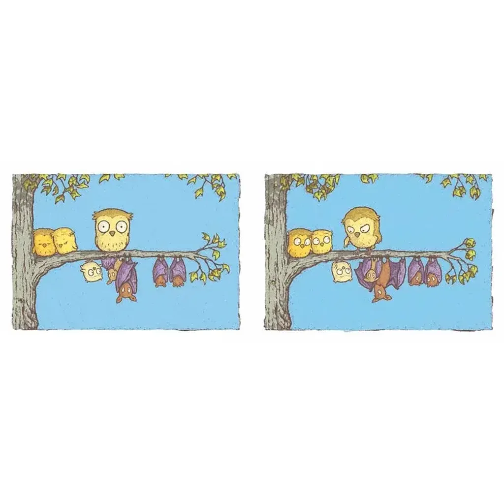 800x