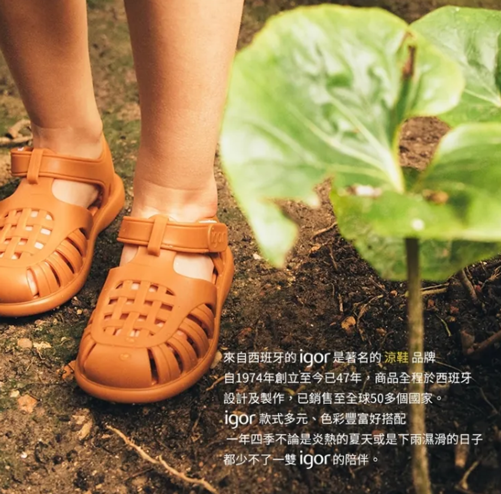 螢幕擷取畫面 2026-06-15 130548