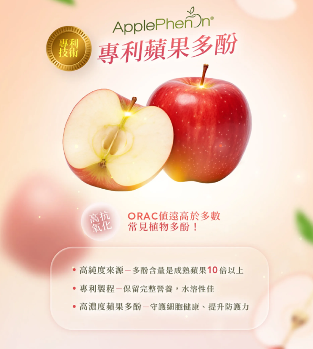 螢幕擷取畫面 2026-06-17 000702