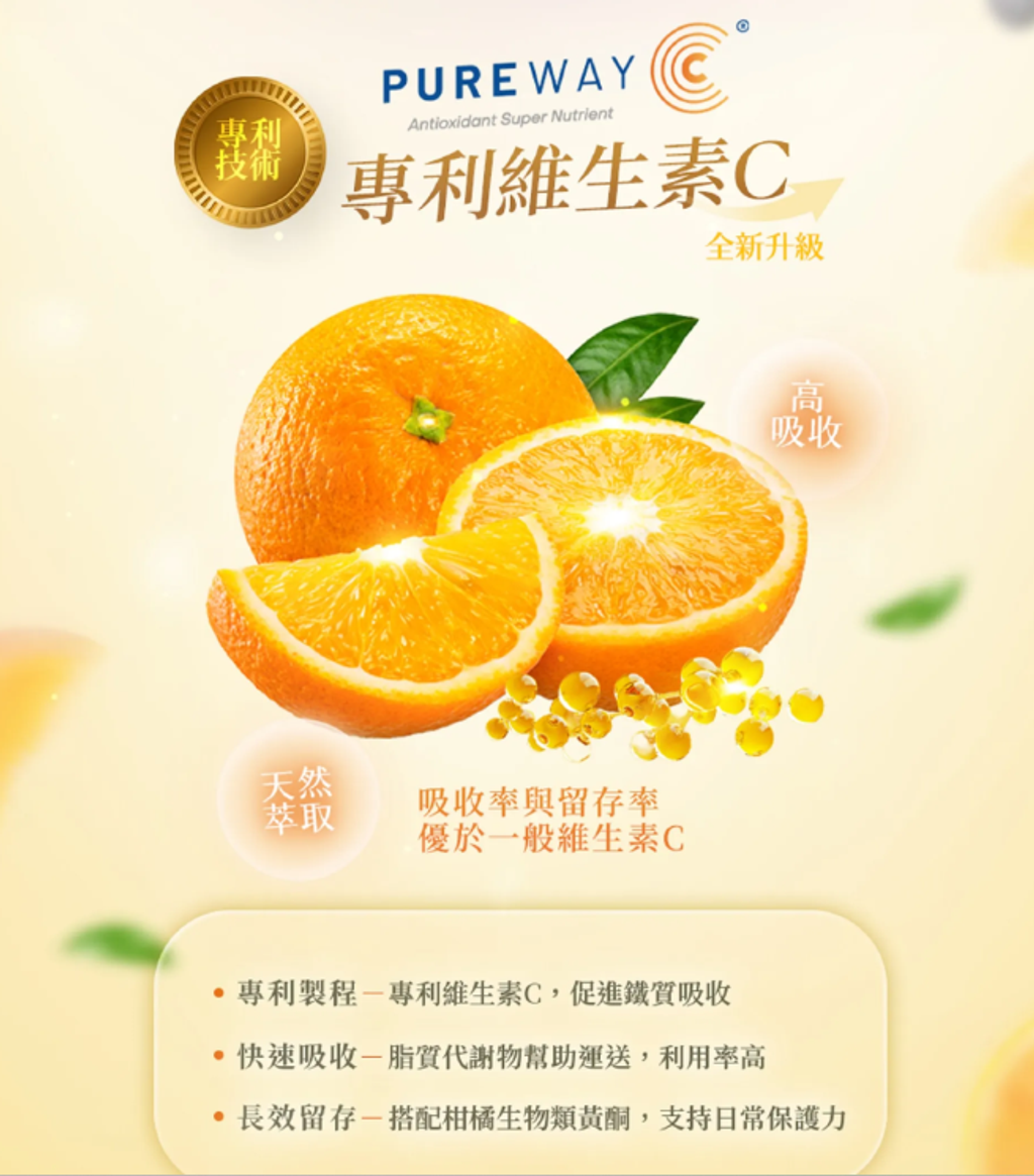 螢幕擷取畫面 2026-06-17 000729