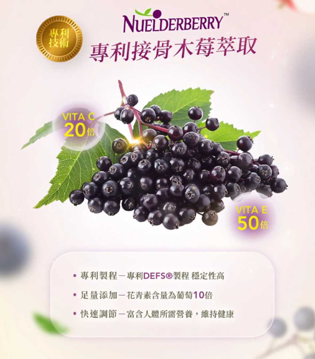 螢幕擷取畫面 2026-06-17 000715