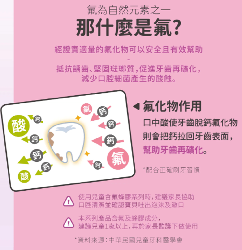 螢幕擷取畫面 2026-03-25 023943