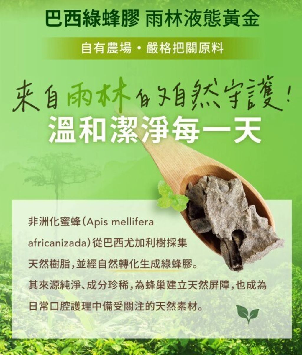 螢幕擷取畫面 2026-03-25 121038