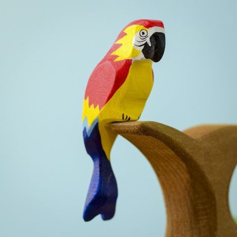 amazonian-parrot~7210