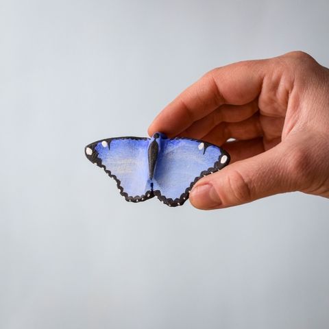 blue-butterfly~7865