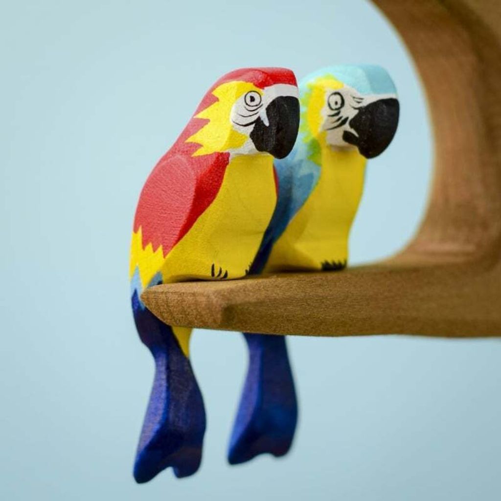 amazonian-parrot~7209