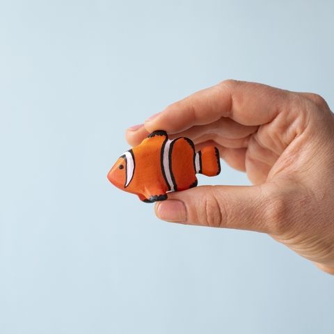 clown-fish~8195