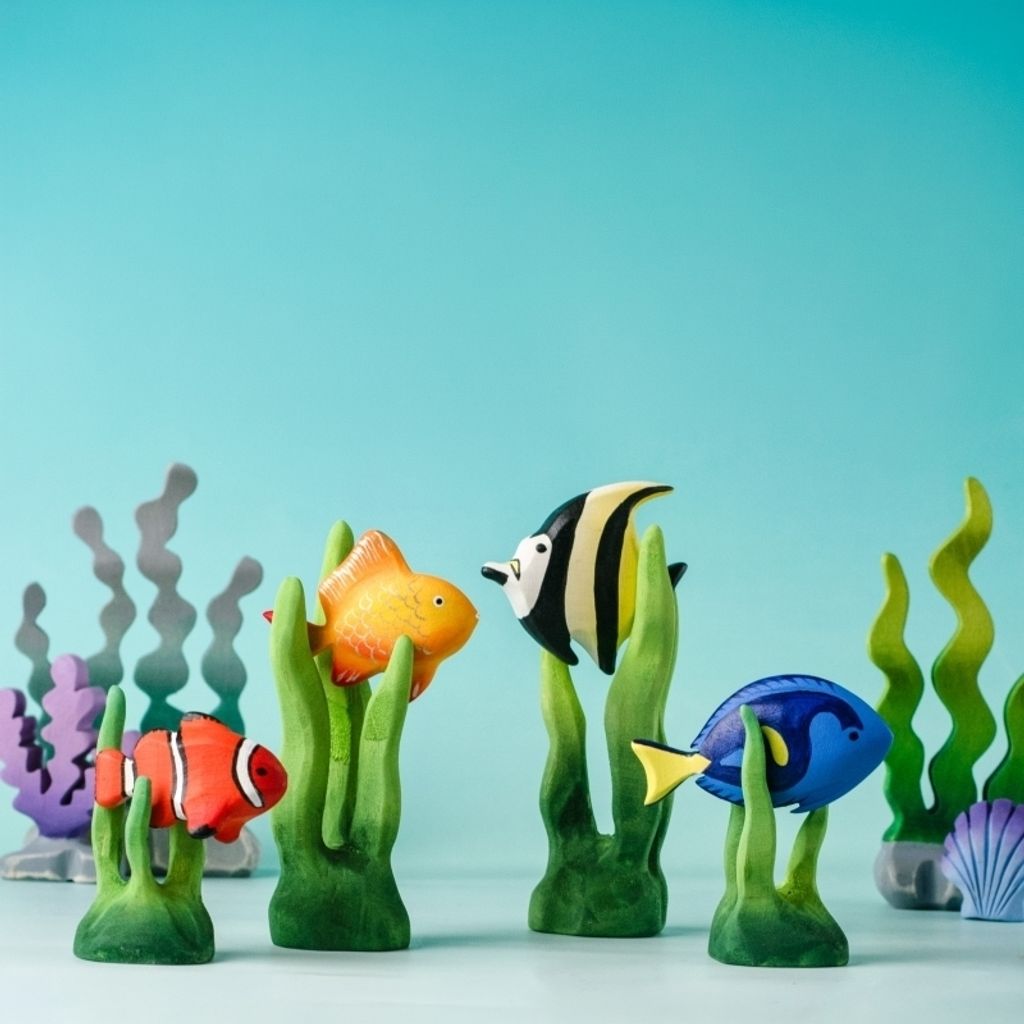 clown-fish~8082272
