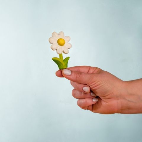 festive-daisy~5797112