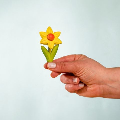 festive-daffodil~5797142