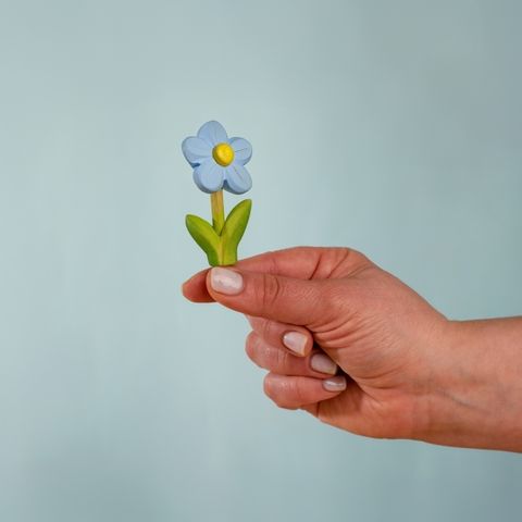 festive-forget-me-not~5794295