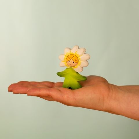 flower-child-daisy~5697599