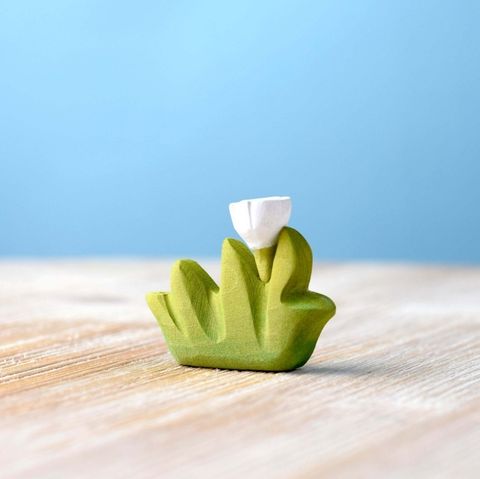 grass-with-white-flower-small~2446