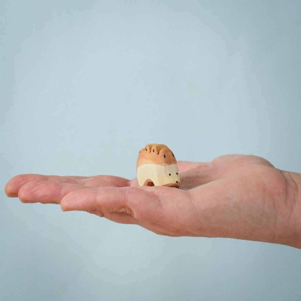 hedgehog-small~7569