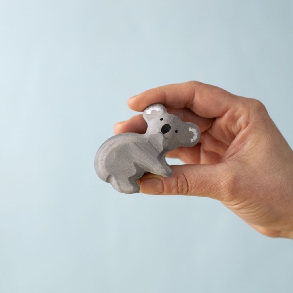 koala~8004