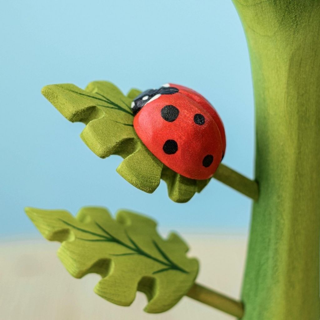 ladybug~6512